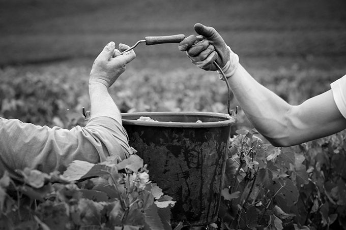 Domaine Laurent Mouton