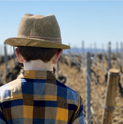 Domaine Laurent Mouton